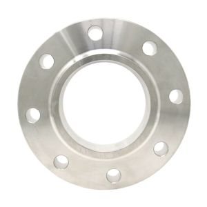 Alloy 20 Raised Face Plate Flanges in india