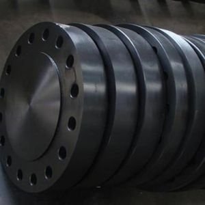 Blind Carbon Steel Flange in india