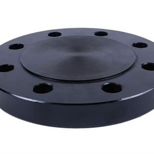 CS Blind Flange in india
