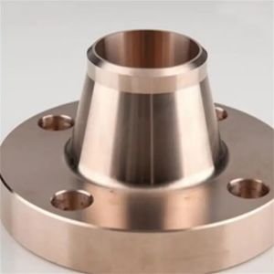Copper Nickel Weldneck Flanges in india