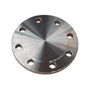 Hastelloy BLRF Flange in india