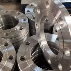 Incoloy 800HT Raised Face Flanges in india