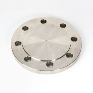 Incoloy Alloy BLFF Flange in india