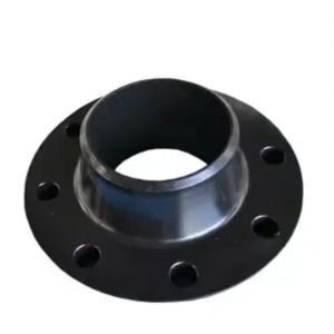P250gh Wnrf Flanges in india